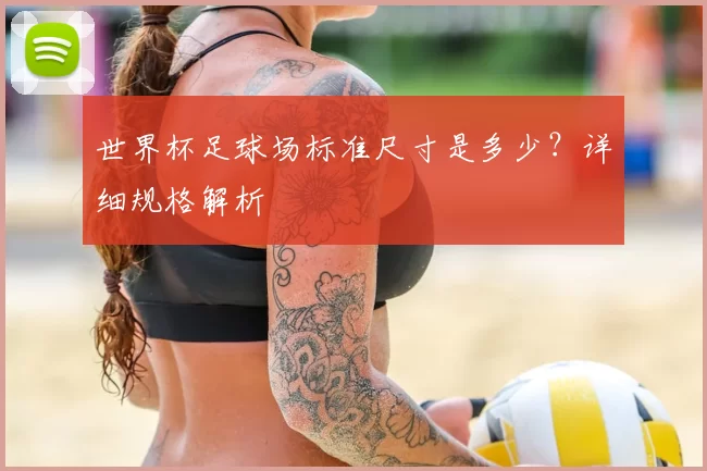 世界杯足球场标准尺寸是多少？详细规格解析