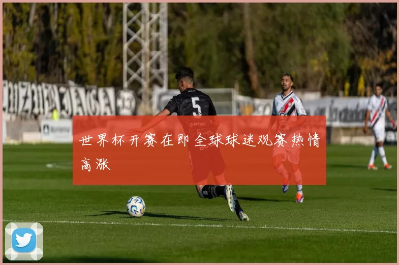 世界杯开赛在即全球球迷观赛热情高涨