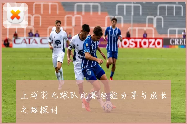 上海羽毛球队比赛经验分享与成长之路探讨