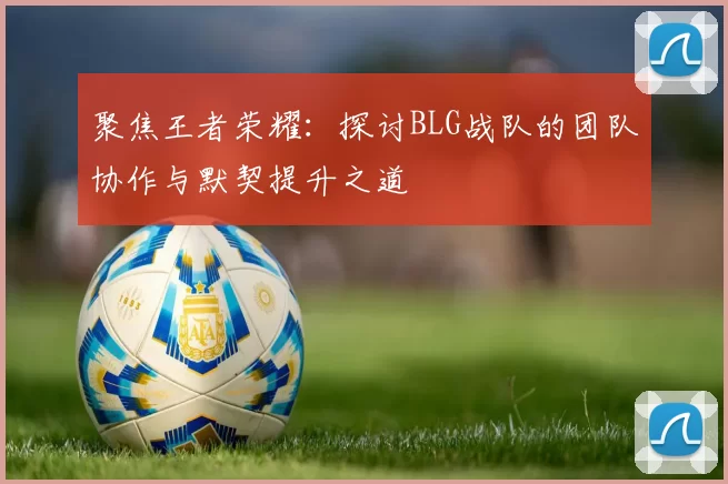 聚焦王者荣耀：探讨BLG战队的团队协作与默契提升之道