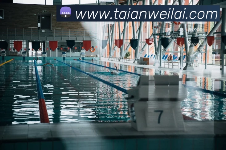 多媒体互动体验